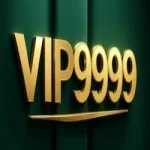 vip9999-game